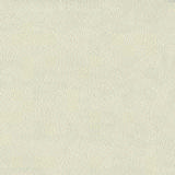 lx_c_602.jpg
